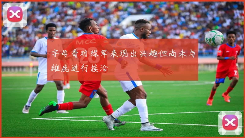 字母哥对绿军表现出兴趣但尚未与雄鹿进行接洽